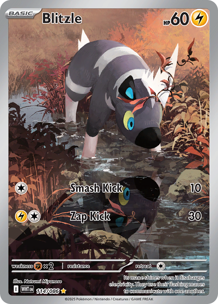 Blitzle 114/086 WHT - Illustration Rare - White Flare - Near Mint Pokemon Card