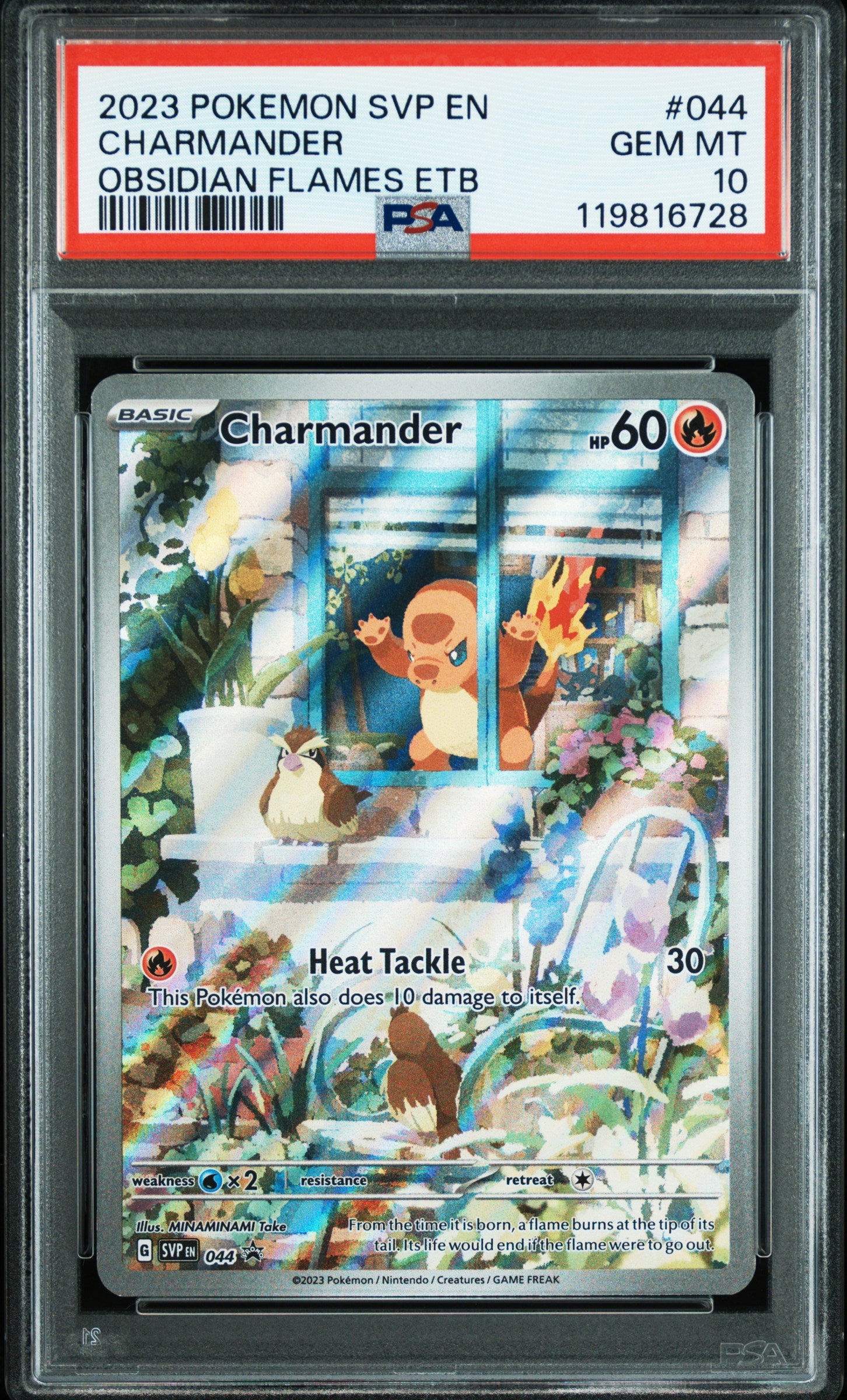 Charmander PSA 10 - SV Black Star Promo - Cert 119816728 Front