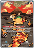 Numel 223/217 - Illustration Rare - Ascended Heroes - Near Mint Pokemon Card