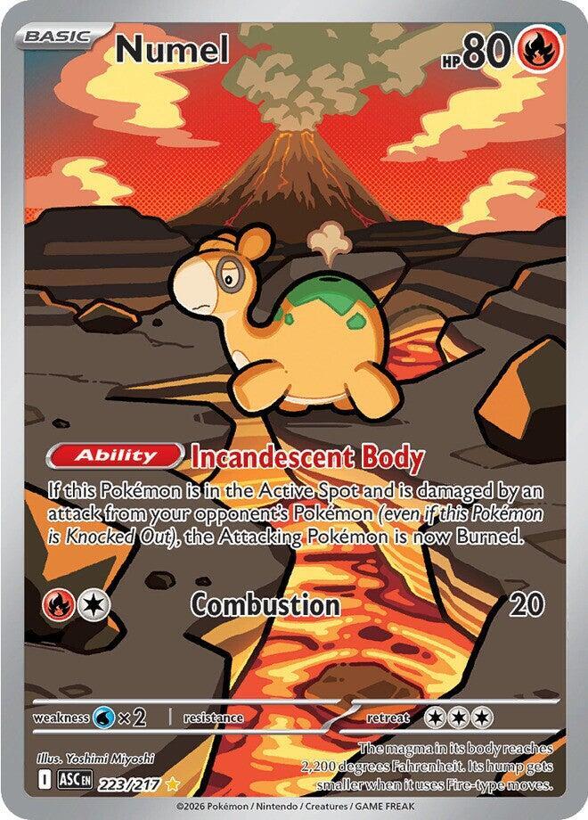 Numel 223/217 - Illustration Rare - Ascended Heroes - Near Mint Pokemon Card