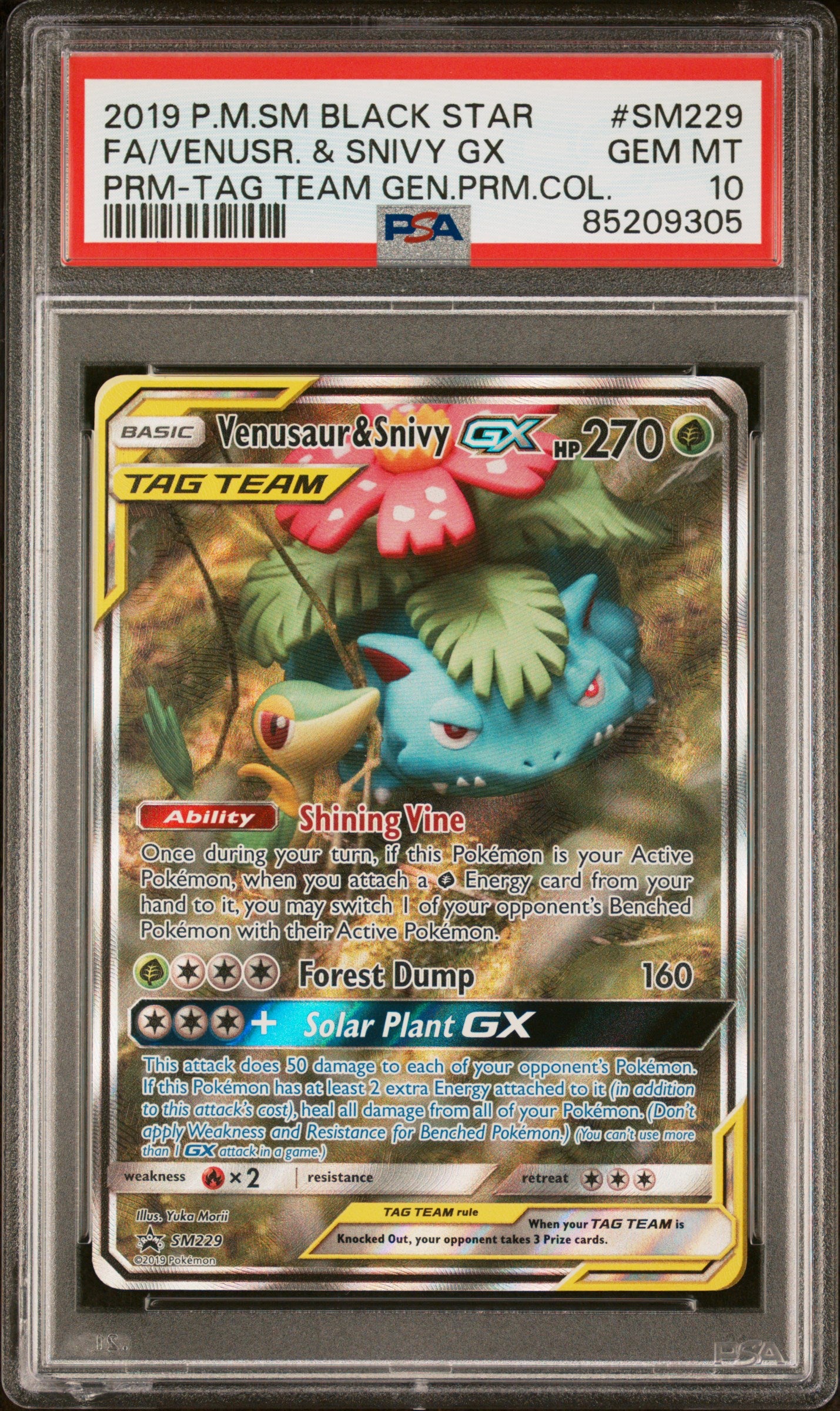 Venusaur & Snivy gx PSA 10 Front - Black Star Promo