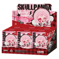 Skullpanda Winter Symphony Blind Box Pop Mart | QollectorAU
