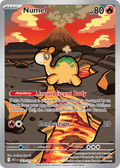 Numel 223/217 - Illustration Rare - Ascended Heroes - Near Mint Pokemon Card