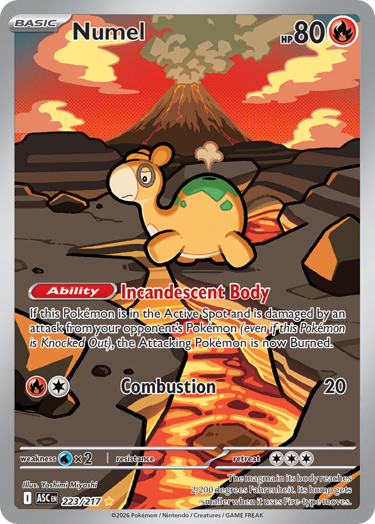 Numel 223/217 - Illustration Rare - Ascended Heroes - Near Mint Pokemon Card