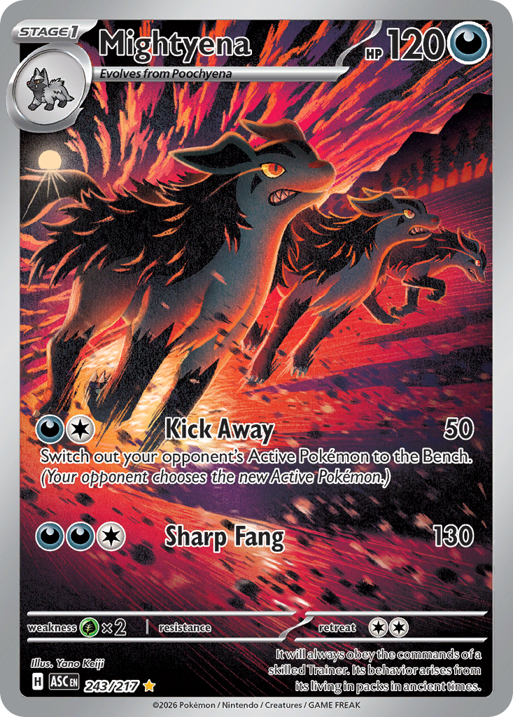 Mightyena 243/217 - Illustration Rare - Ascended Heroes - Near Mint Pokemon Card